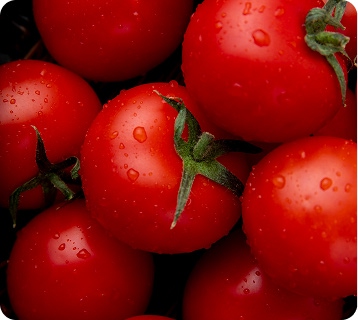 JOSE ANTONIO MÉNDEZ FERNÁNDEZ -  - imagenIMP T