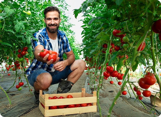 JOSE ANTONIO MÉNDEZ FERNÁNDEZ -  - imagenIMP T