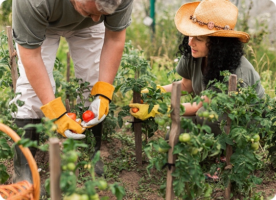 JOSE ANTONIO MÉNDEZ FERNÁNDEZ -  - imagenIMP T