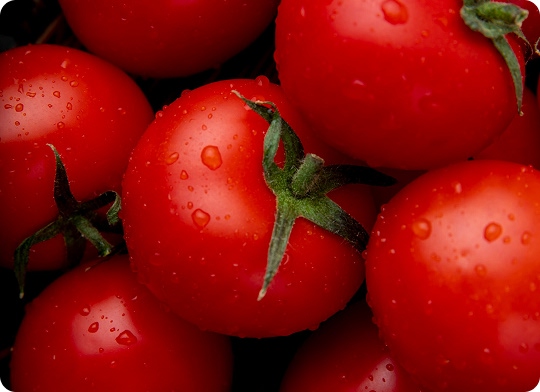 JOSE ANTONIO MÉNDEZ FERNÁNDEZ - Productos - imagenIMP T