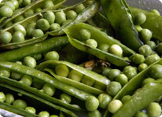 JOSE ANTONIO MÉNDEZ FERNÁNDEZ - Productos - imagenIMP T